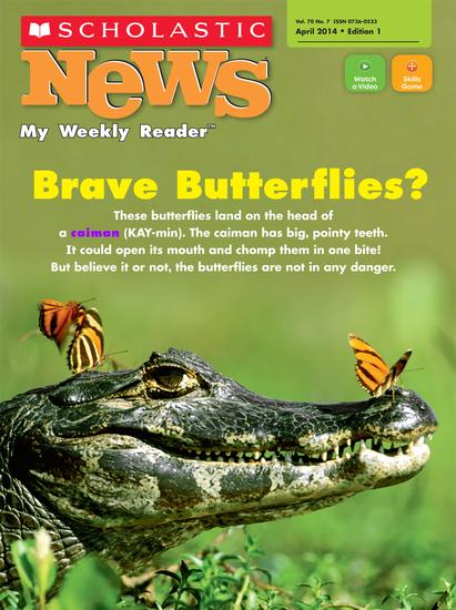 scholastic